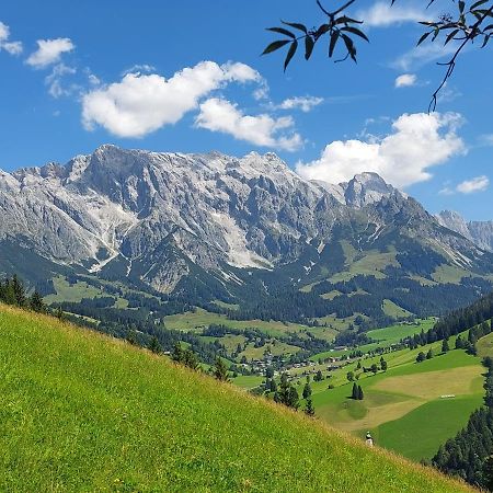 Schernthaner Lägenhet Taxenbach Exteriör bild