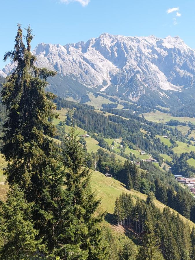 Schernthaner Lägenhet Taxenbach Exteriör bild