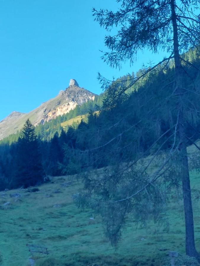 Schernthaner Lägenhet Taxenbach Exteriör bild