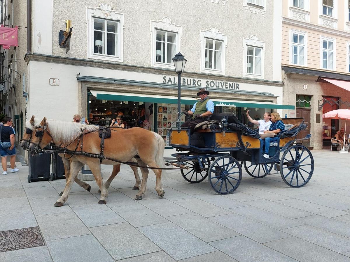 Schernthaner Lägenhet Taxenbach Exteriör bild