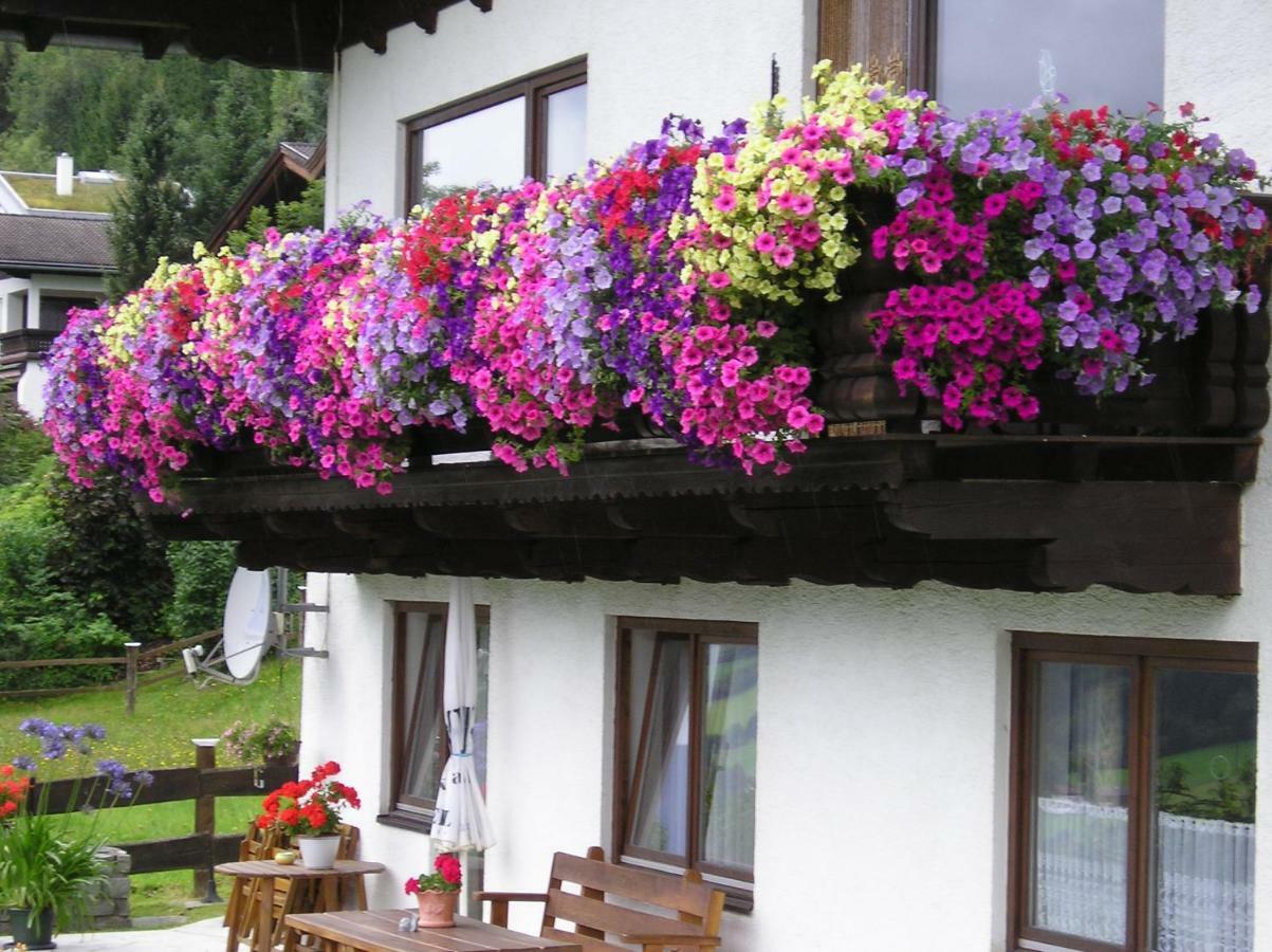 Schernthaner Lägenhet Taxenbach Exteriör bild