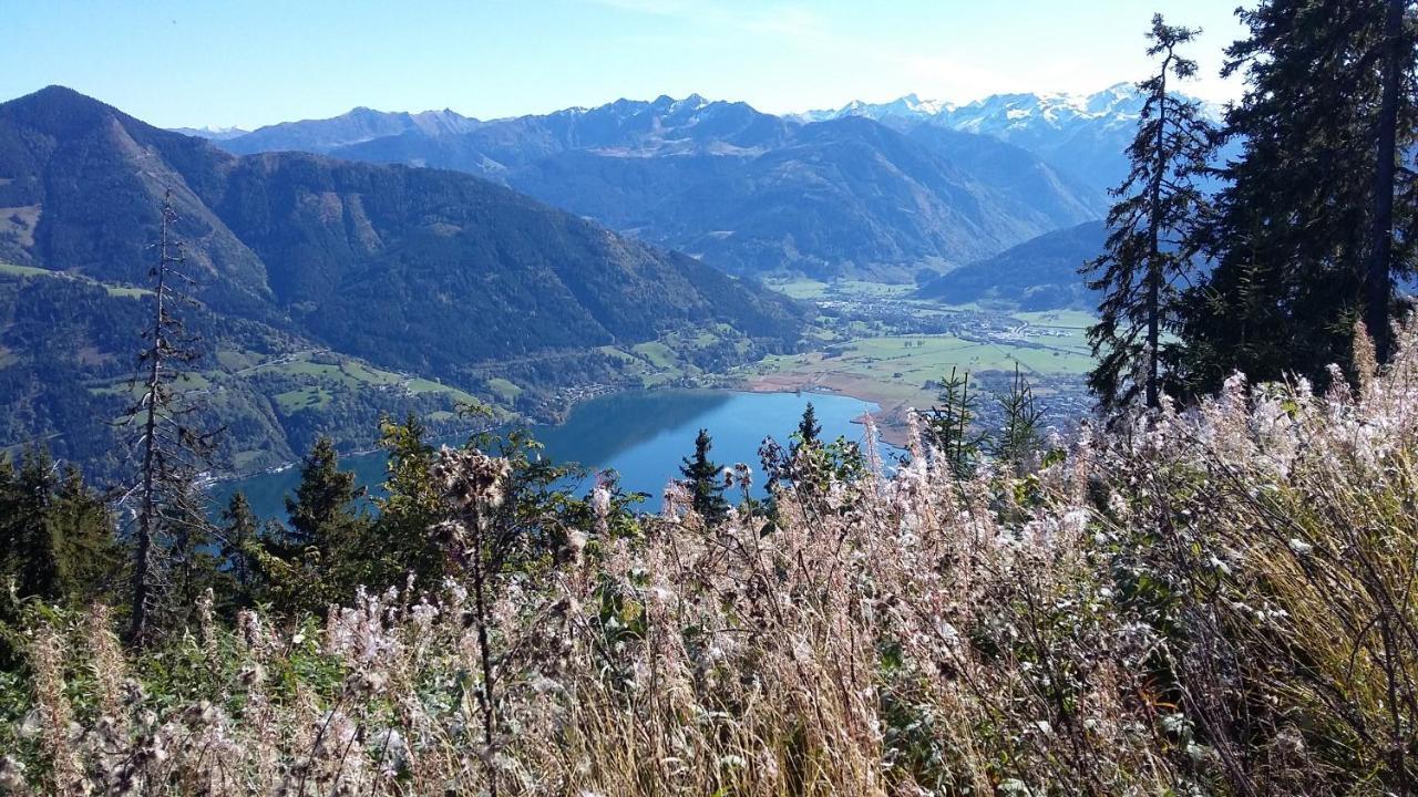 Schernthaner Lägenhet Taxenbach Exteriör bild